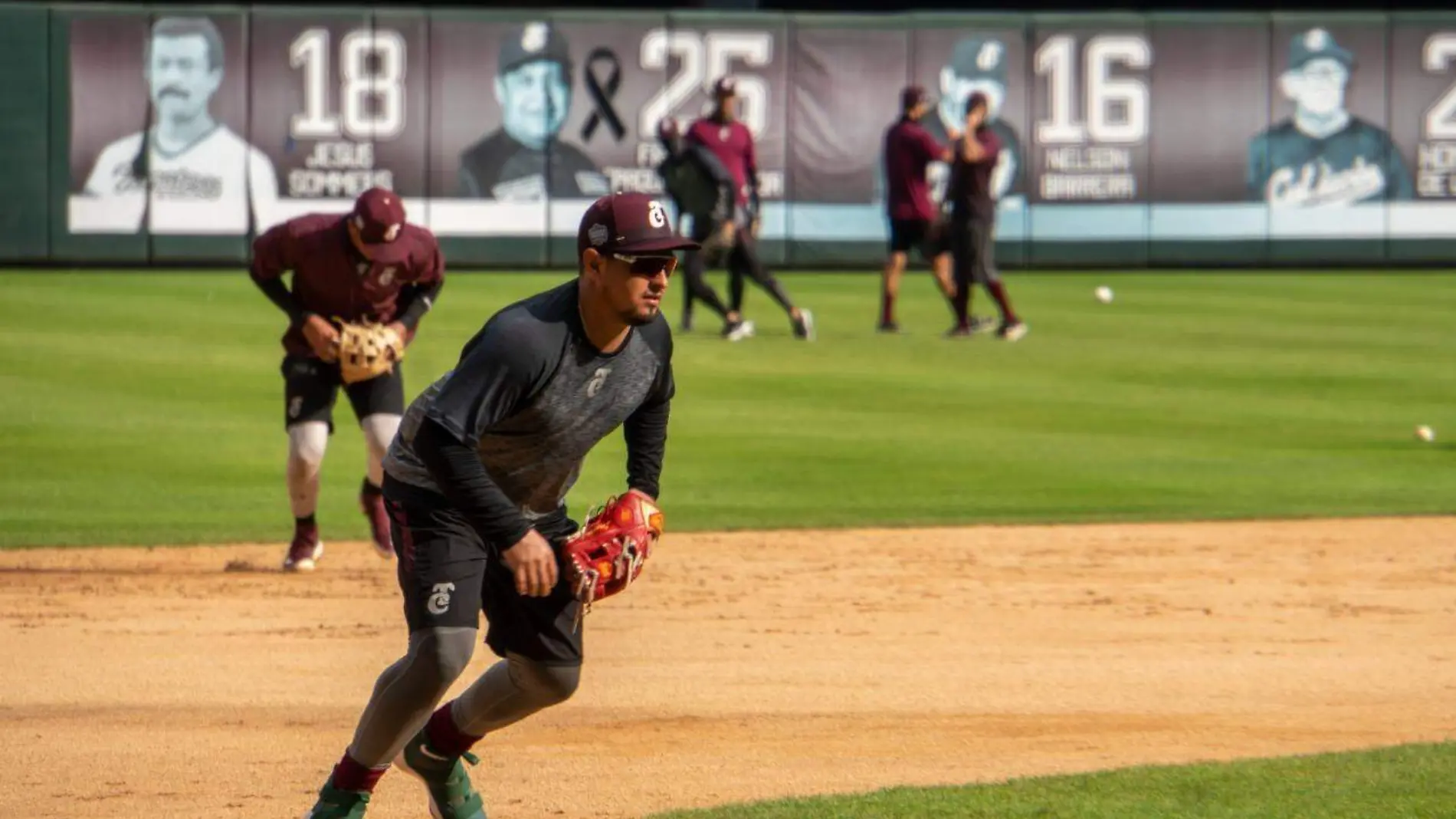 tomateros 2